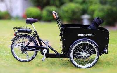 Electric Cargo Bikes: The Smarter Way to Carry More in the UK